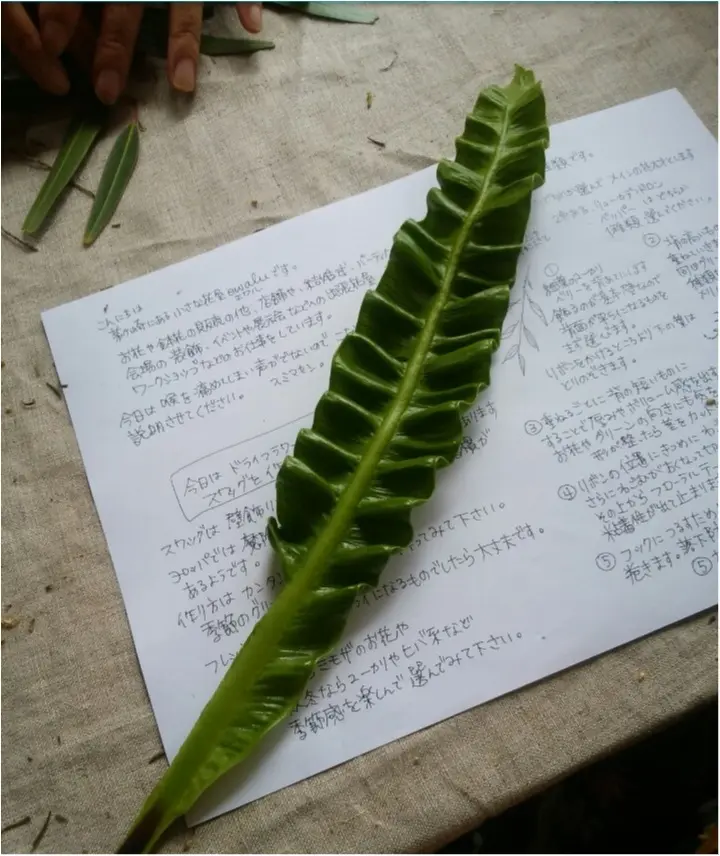 【花のある暮らし】簡単可愛いスワッグとは?( ˊᵕˋ )_3