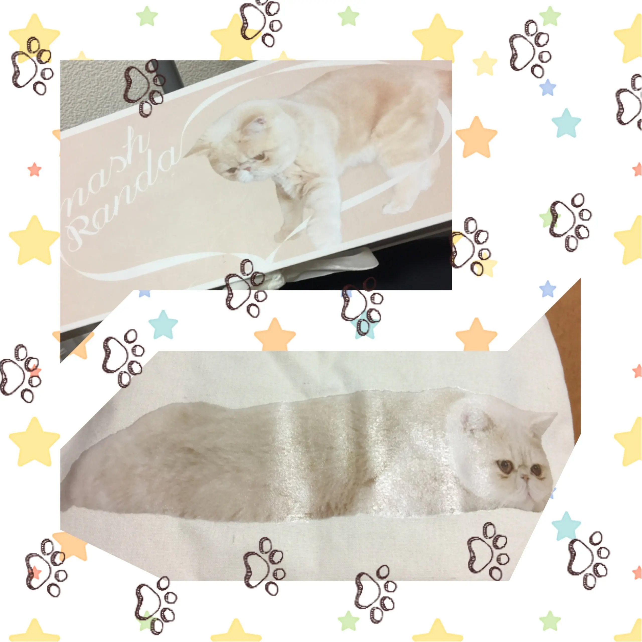 華金の夜はお買い物♩Mash×RANDAのコラボファーパンプス♡_4