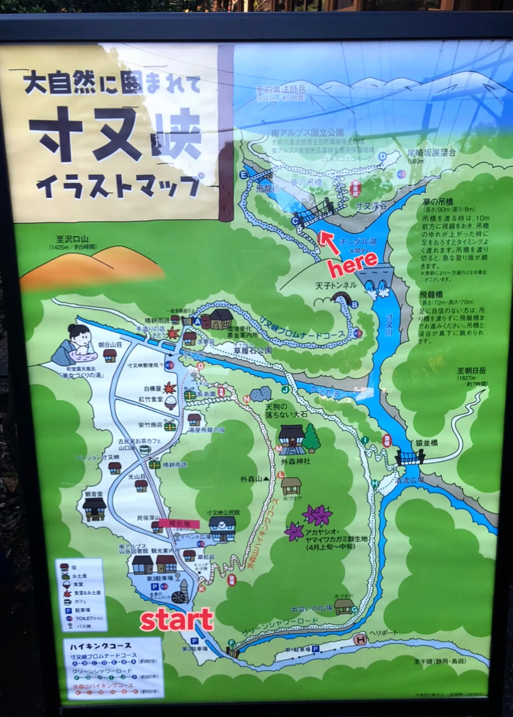 【#静岡】《夢の吊り橋×秋・紅葉》美しすぎるミルキーブルーの湖と紅葉のコントラストにうっとり♡湖上の吊り橋で空中散歩気分˚✧₊_2