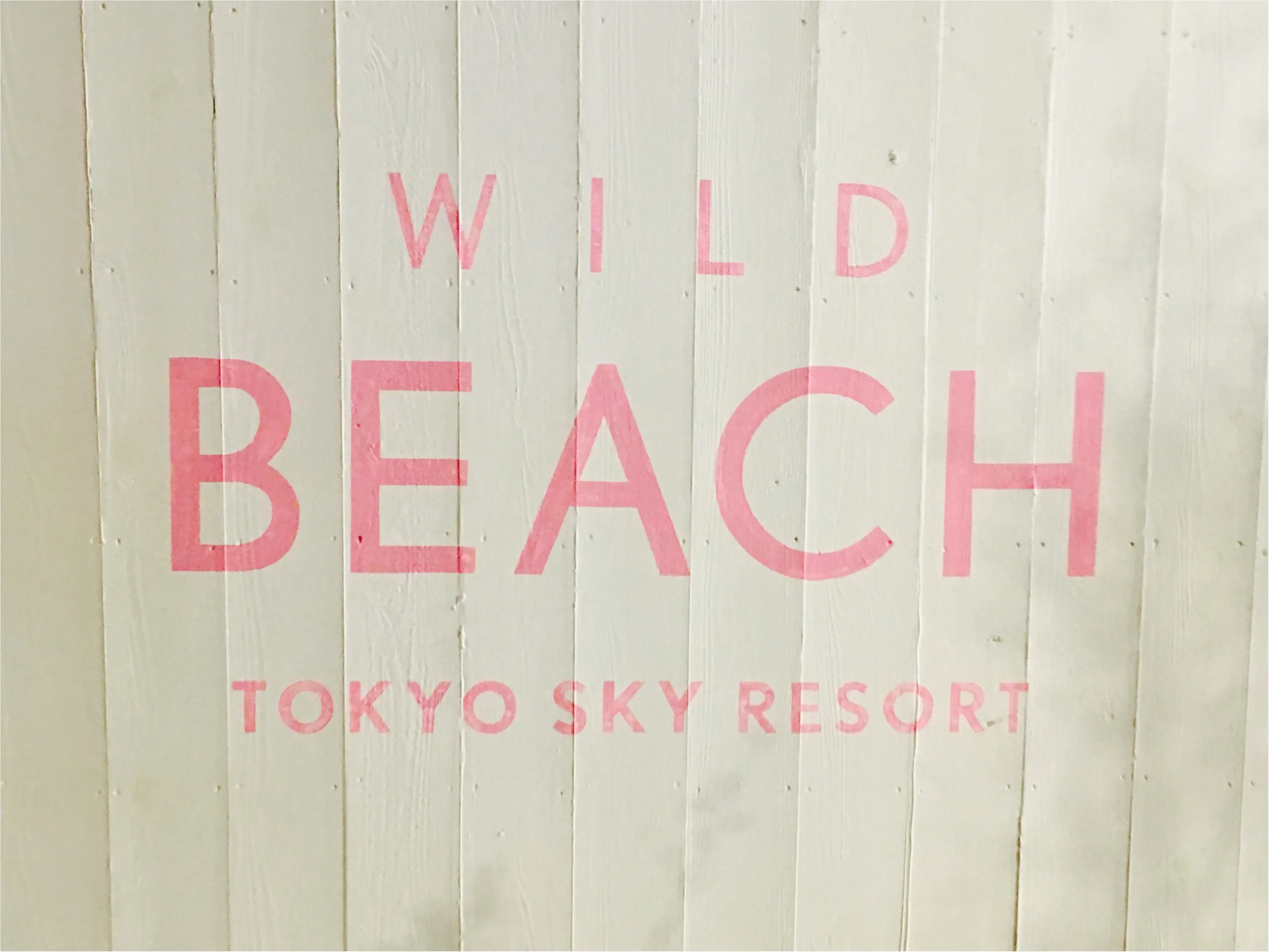 【おでかけ】新宿のWILD BEACHでリゾート気分を味わえるビアガーデンでBBQしてきました★_1