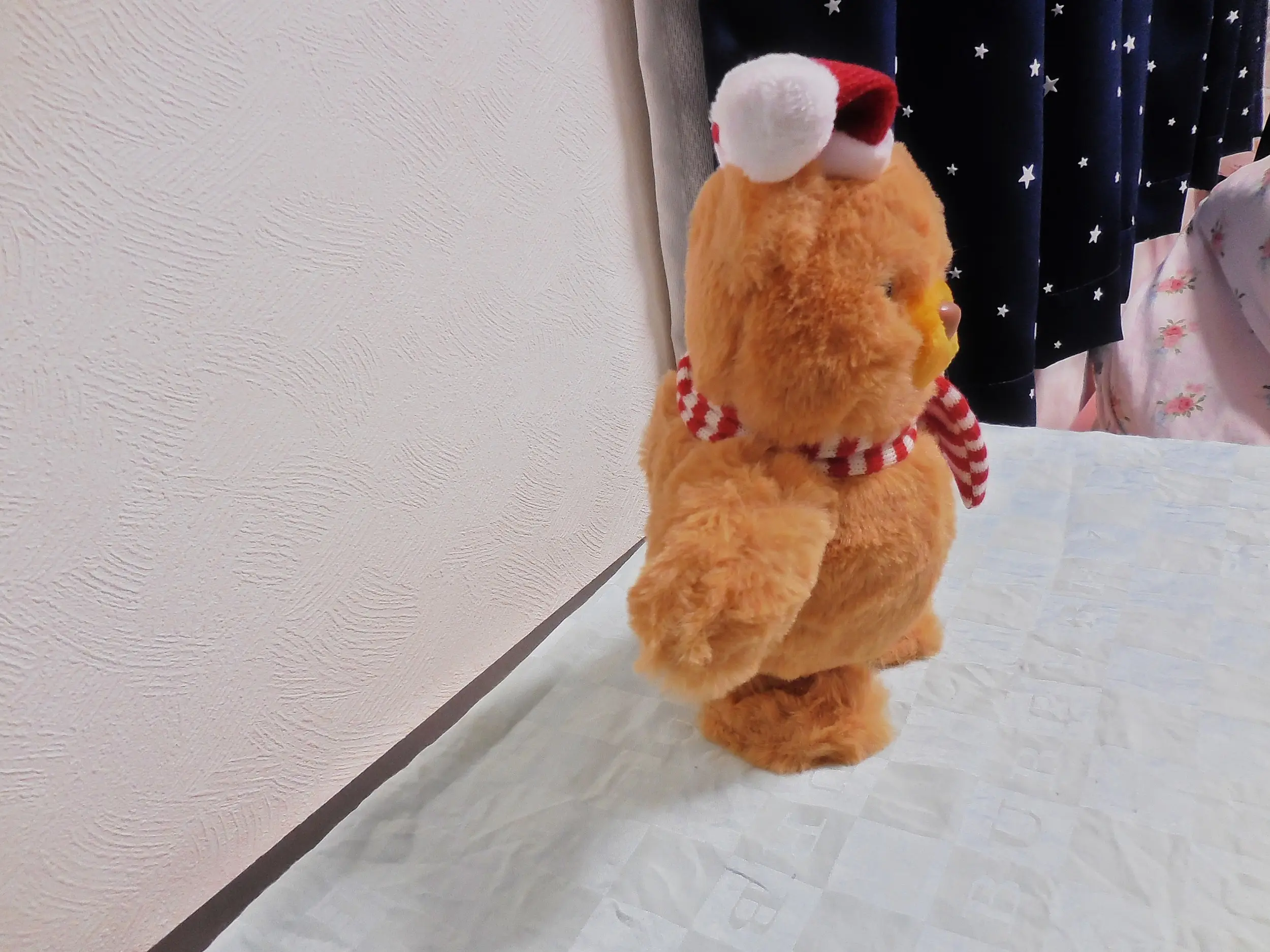 【カルディ】史上最強にかわいいクリスマストコトコベア_3