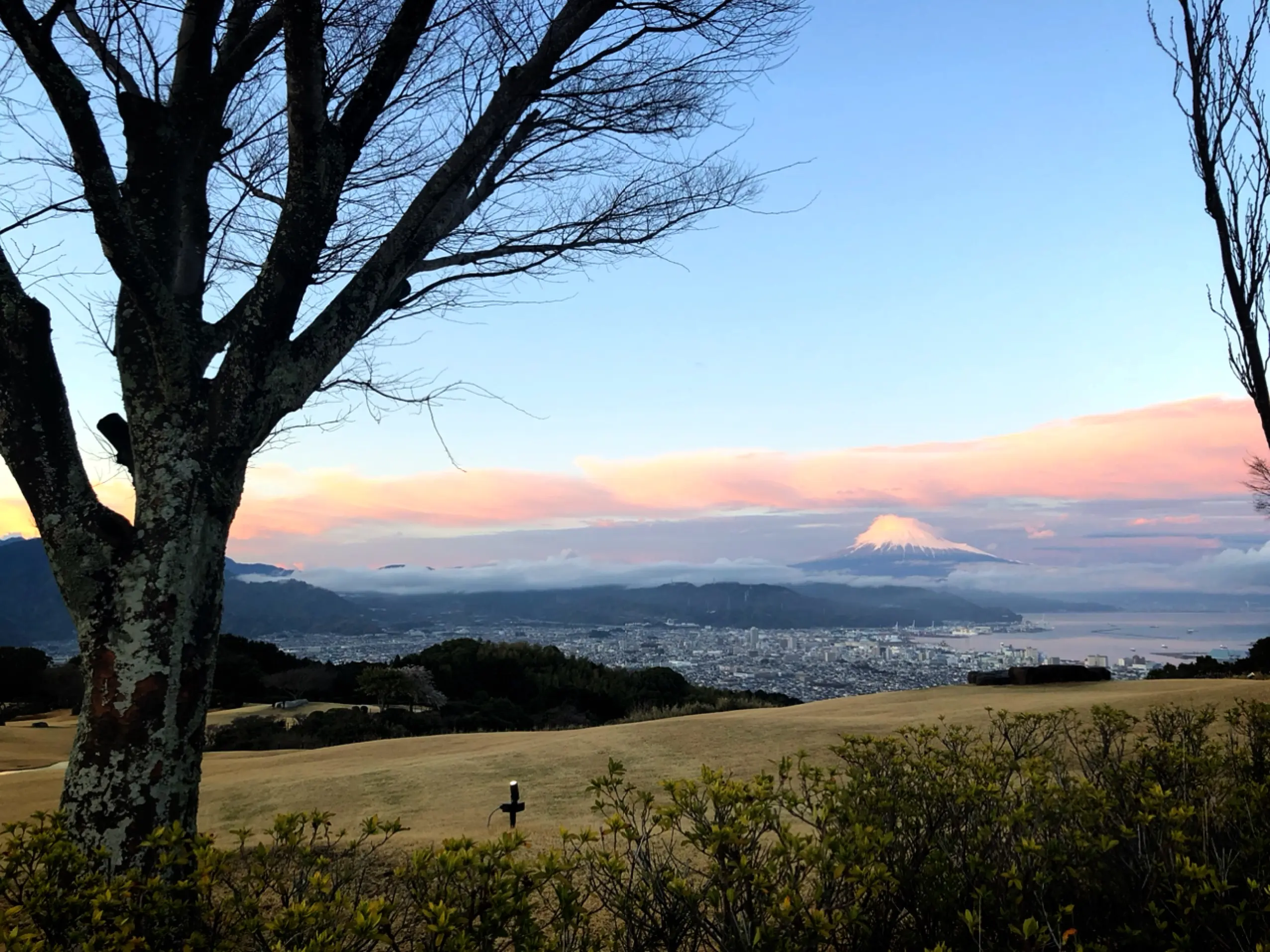 静岡 日本平ホテルでゆったりアフタヌーンティー 風景画のような大パノラマが最高 食後は広大な庭園をお散歩しました Moreインフルエンサーズブログ Daily More