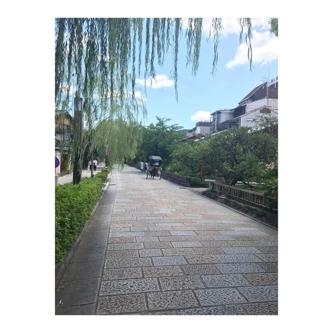 《暑い毎日に!絶品すぎるかき氷!》【pass the baton京都】_1
