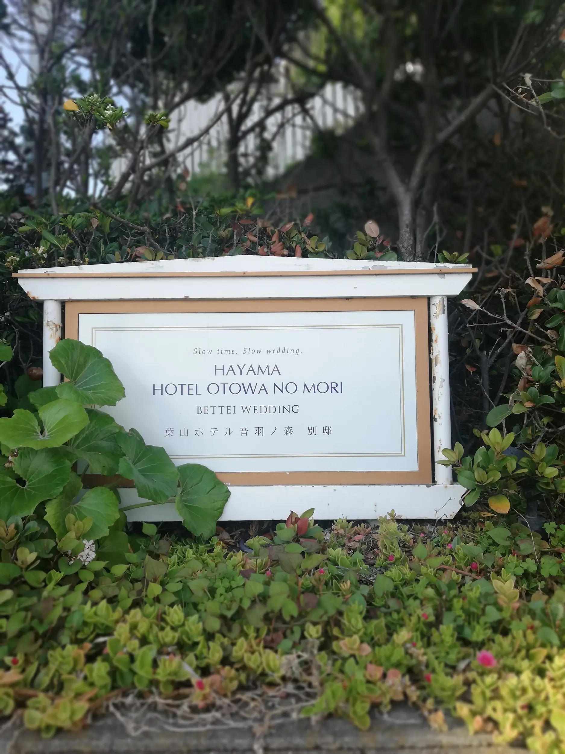 結婚式無事に終わりました^^_1
