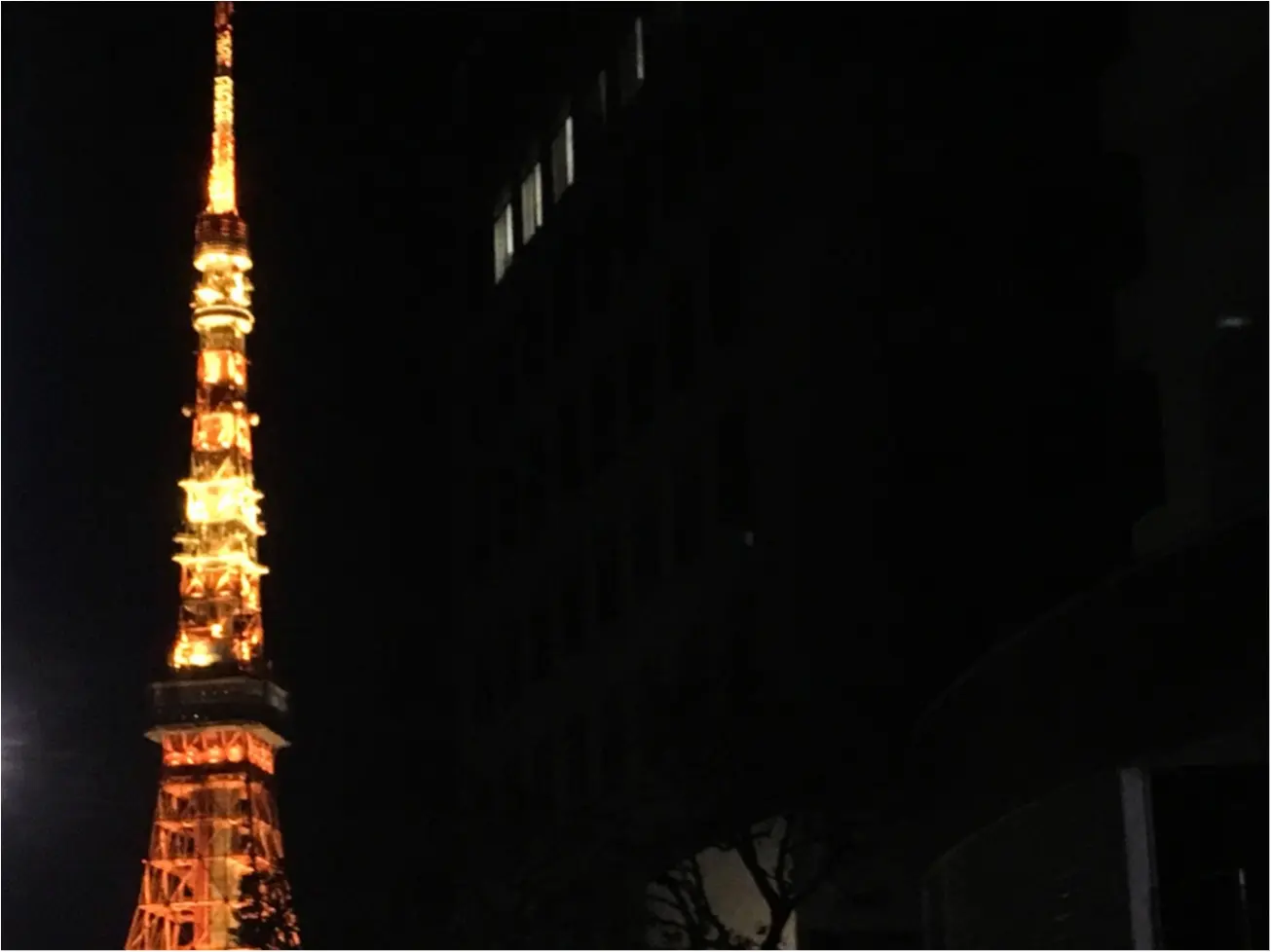 知らなかった 東京タワーの秘密 バレンタインデートにもオススメ 東京タワーがより楽しくなるtips ヒトコレ Vol 10 Moreインフルエンサーズブログ Daily More
