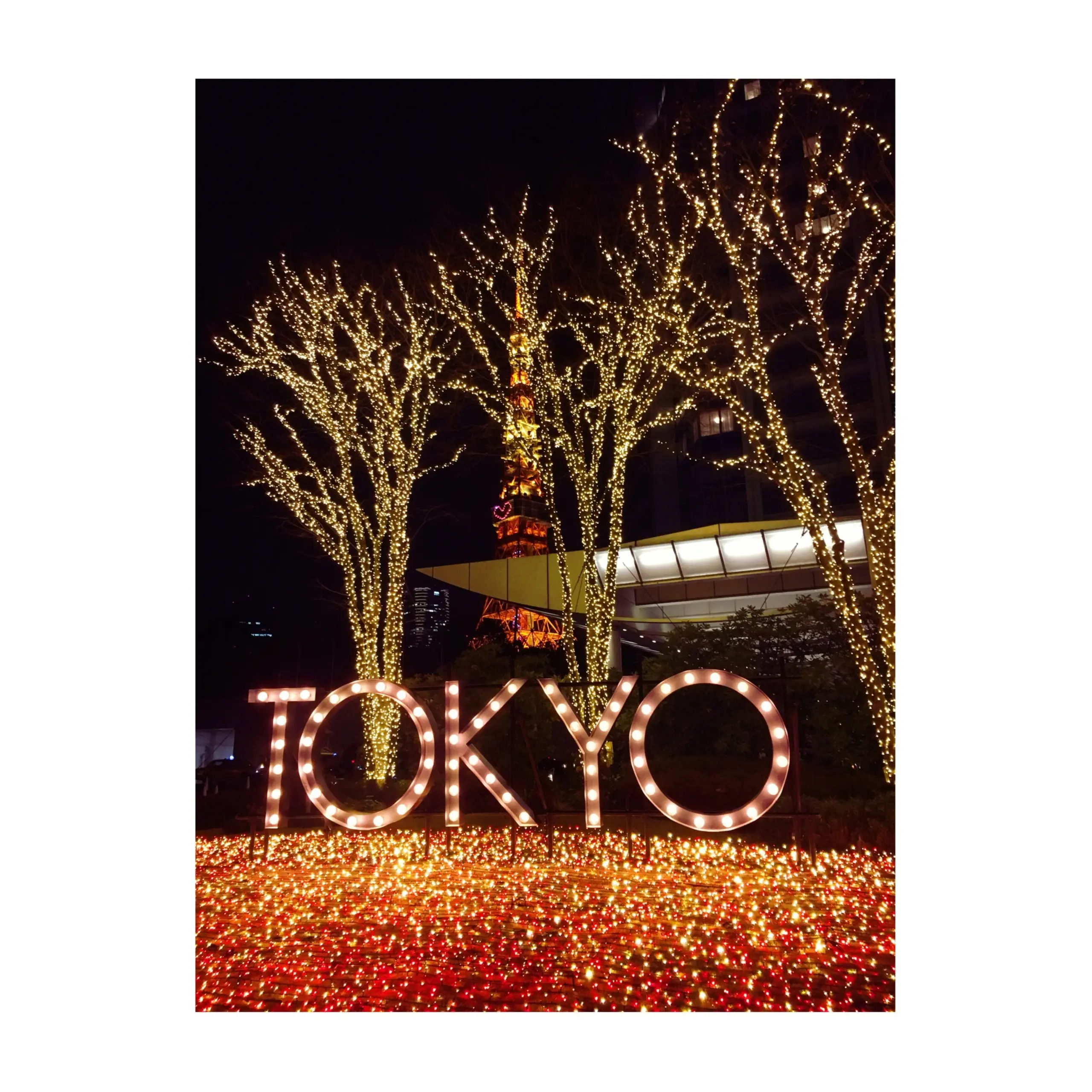 《金曜夜集合★》東京タワーの目の前!ザ・プリンスパークタワー東京で【ホテル女子会】をしてきました❤️_2
