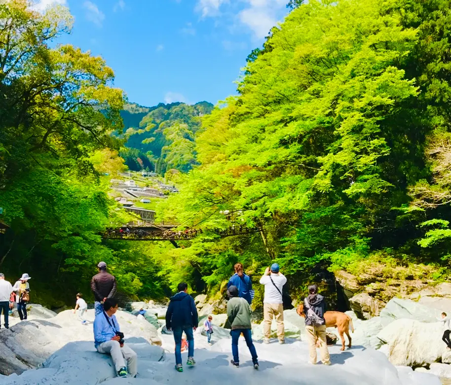 【女子旅におすすめ】徳島県に来たら外せない!癒しの絶景スポット《祖谷のかずら橋》★_7