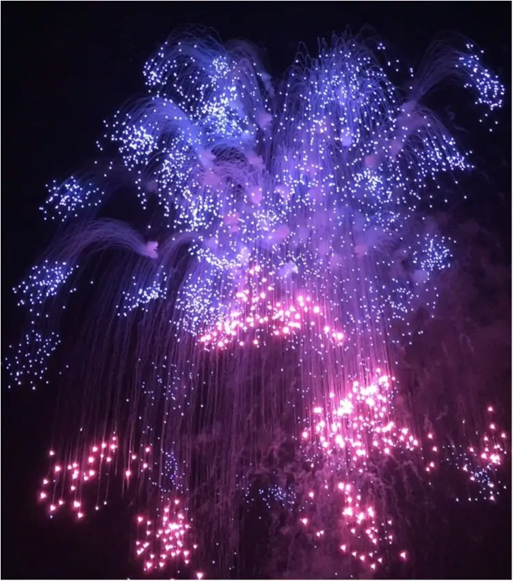 【秋の花火大会】日本三大花火が関東で見れる!!今年まだ花火を見ていない人必見♡♡詳細と去年の花火大会をお伝えします♡_4
