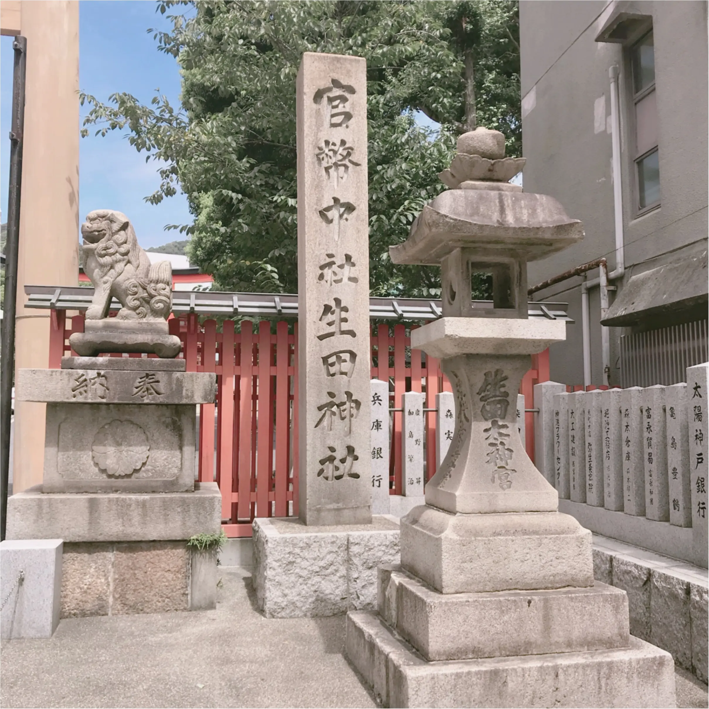 神戸の生田神社といえば縁結び 新感覚 水みくじ ができちゃうんです Moreインフルエンサーズブログ Daily More