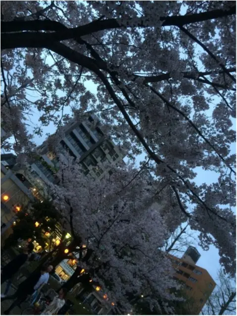 【今週末が見頃!】都内で発見❤︎穴場のお花見スポット_7