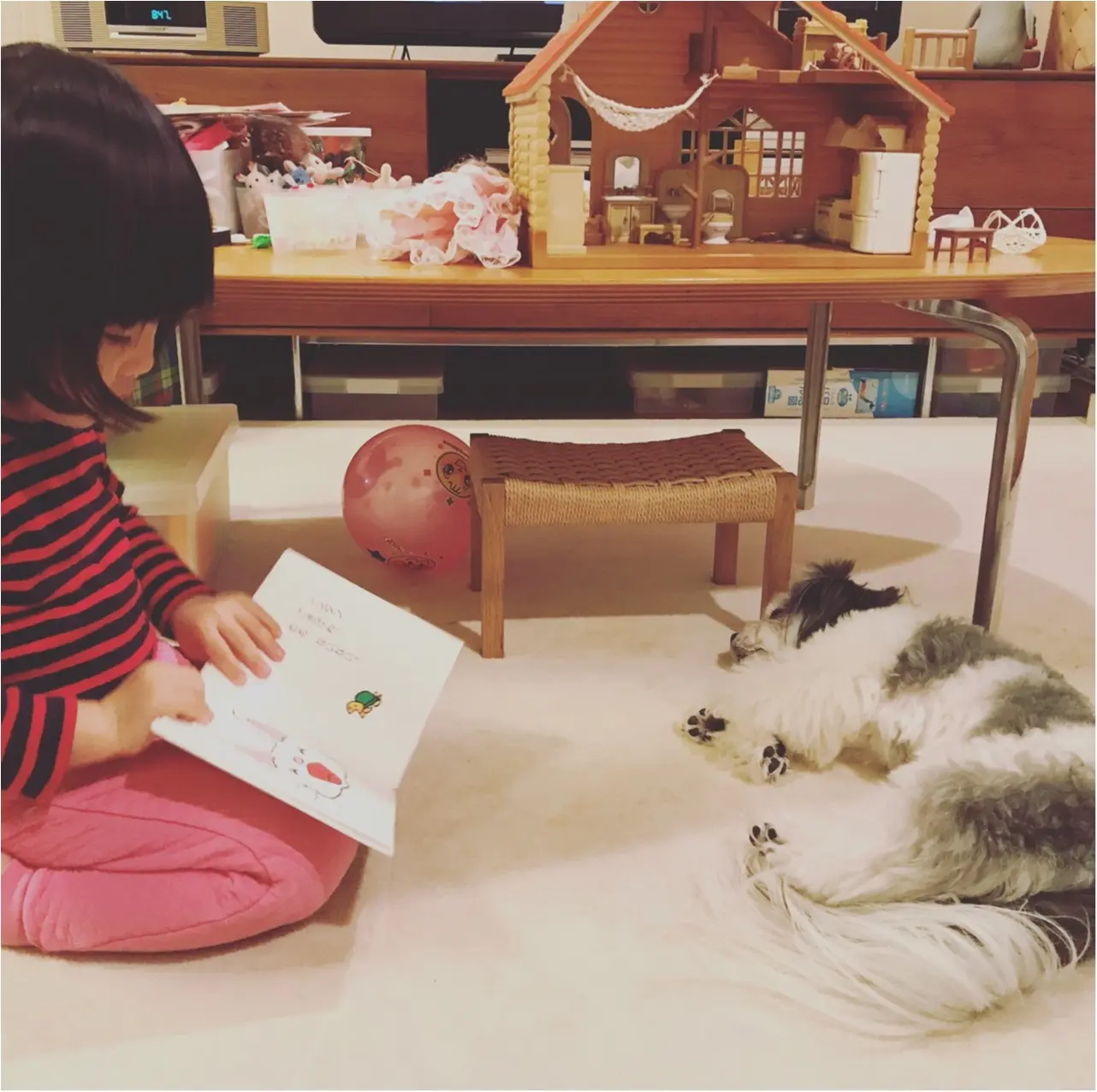 【今日のわんこ】おねむになっちゃう……。キッズと遊んだ太郎くん_1