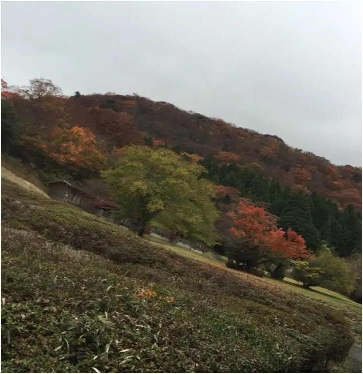 日帰りの旅が充実✨【国内プチ旅行のまとめ*2016】_12