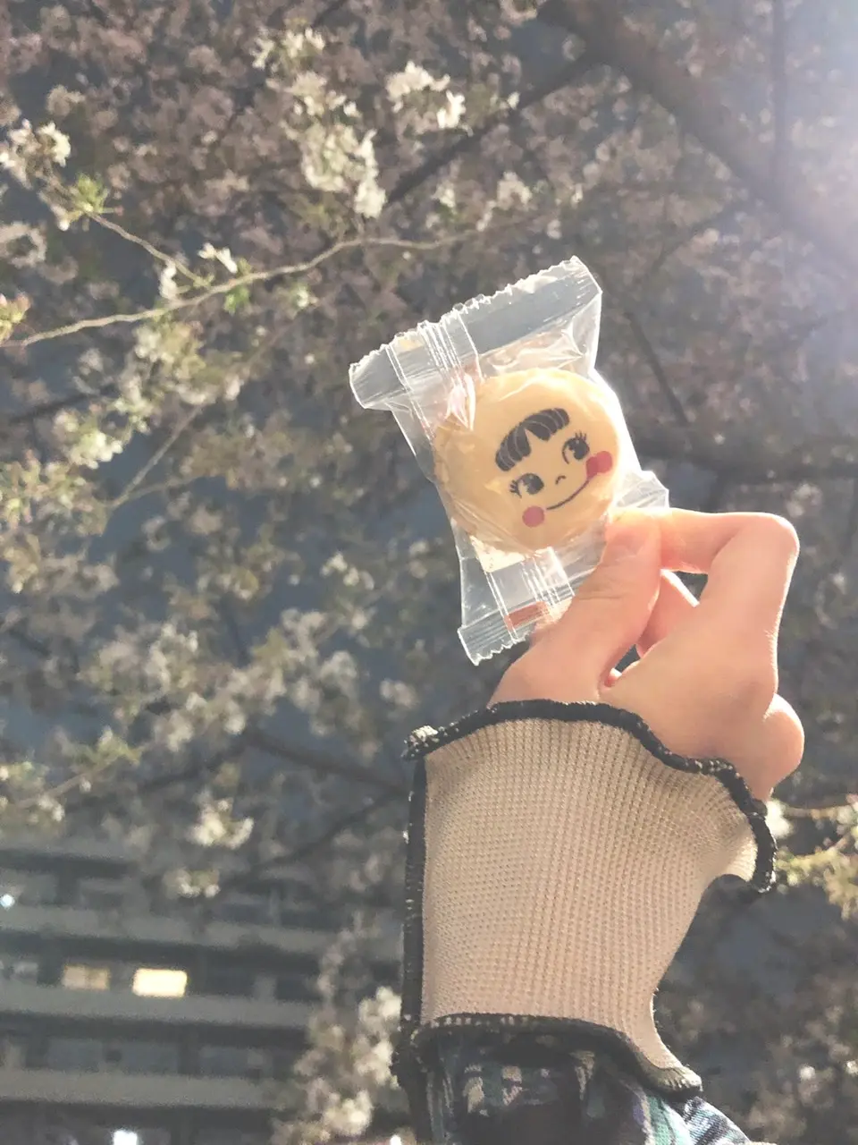 【おすすめ抹茶スイーツ】緊急事態宣言明けのピクニックの手土産はこれで決定!喜ばれること間違いなし、サンリオマカロン♡_4
