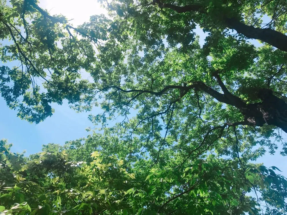 GW後半!まだ間に合う、鎌倉にお出掛け♡_3