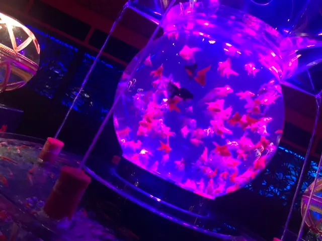 【都内お出かけ】チケット予約必須!第六感で楽しむ美術館♡パワーアップして帰ってきたアートアクアリウム2020♡_7