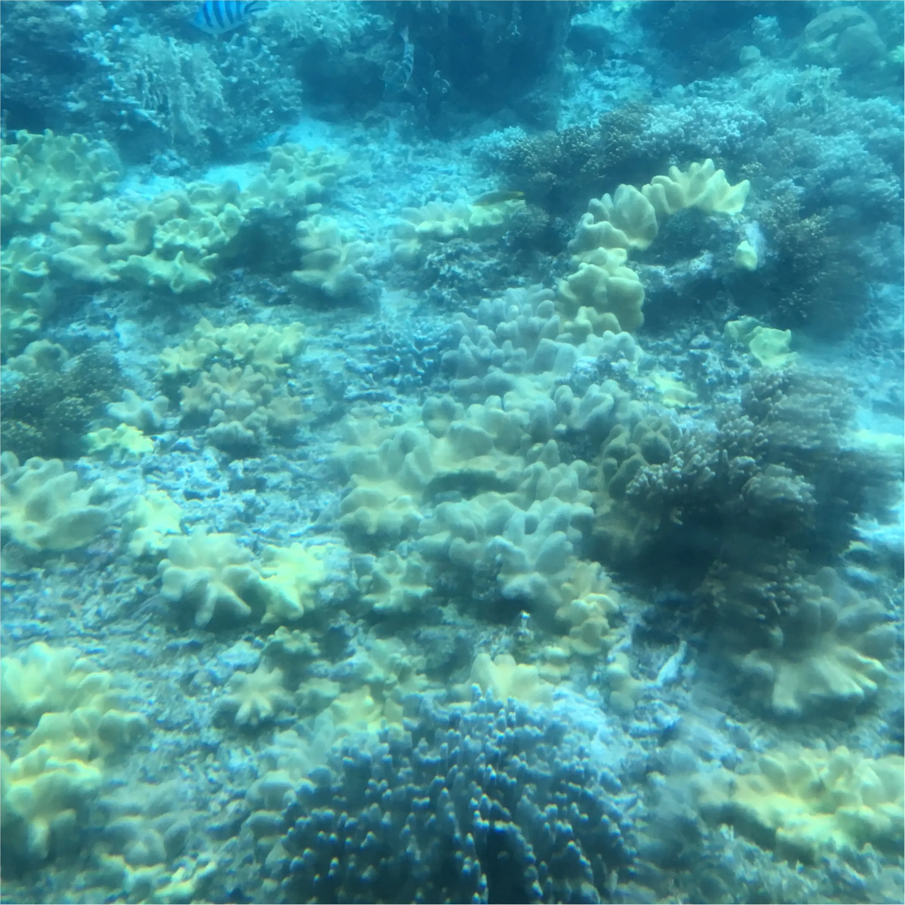 ♡沖縄 宮古島♡_1