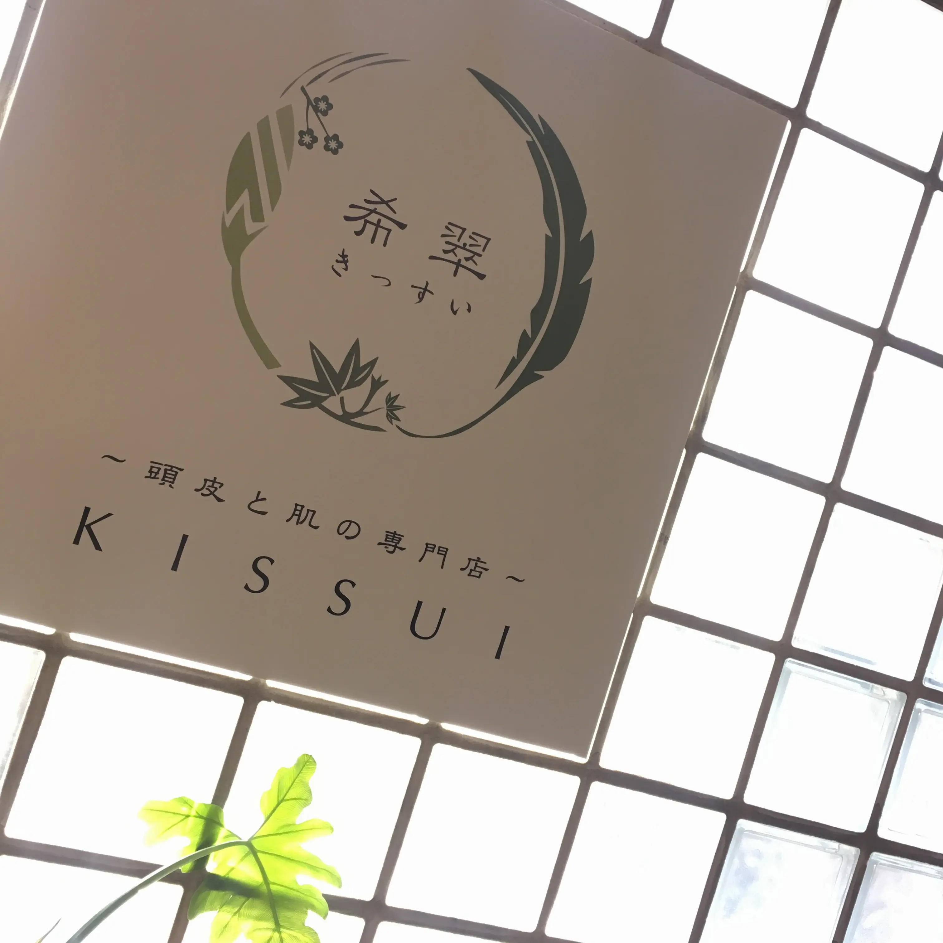 これからの常識!?肌のことを考えて頭皮美容のススメ。_1