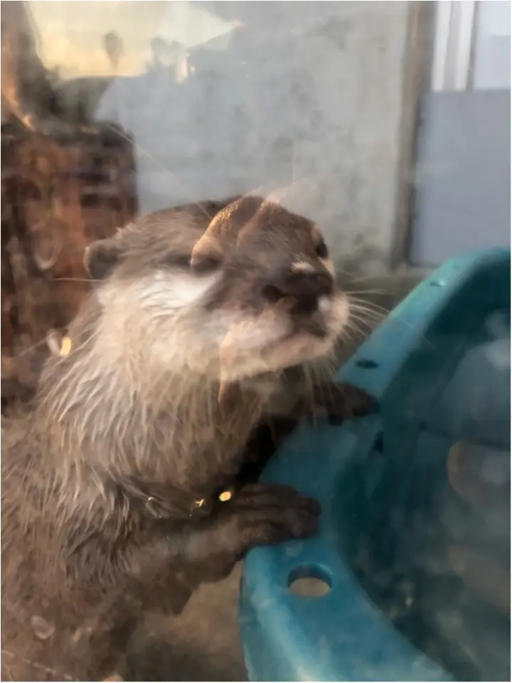 めちゃめちゃお得な「みさきまぐろきっぷ」で日帰り旅♡_8