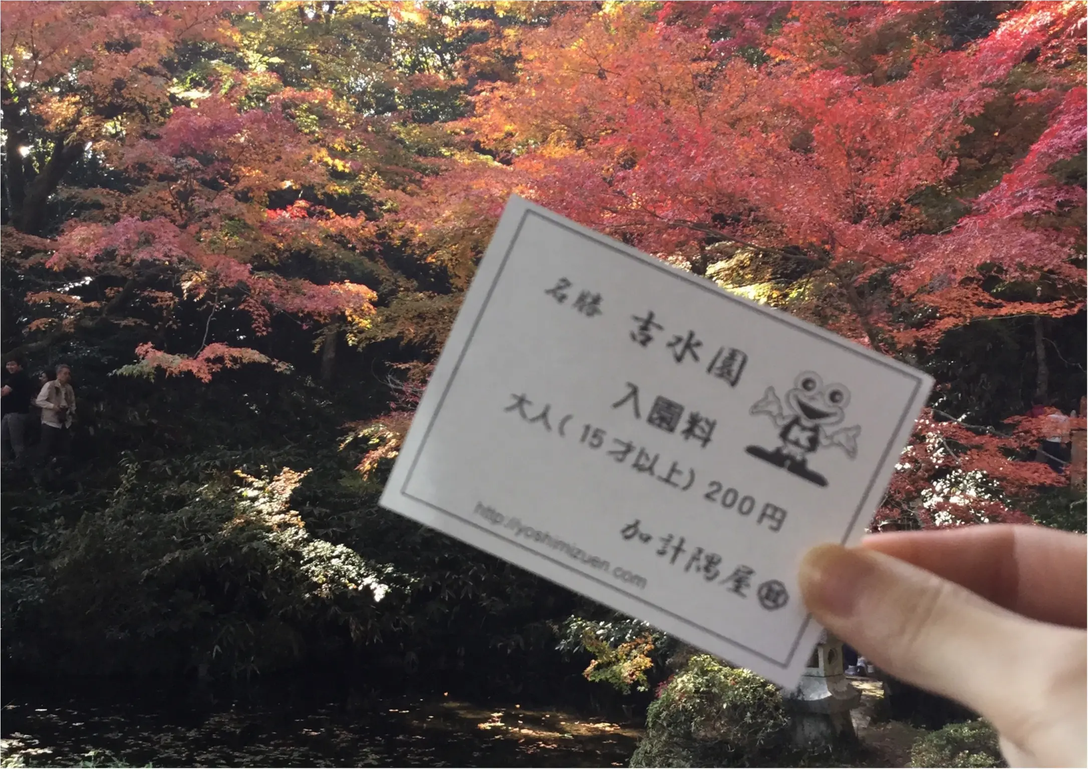 【#紅葉デート】春と秋に2週の週末しか一般公開されない!広島県を代表する紅葉スポット『吉水園』♡_4