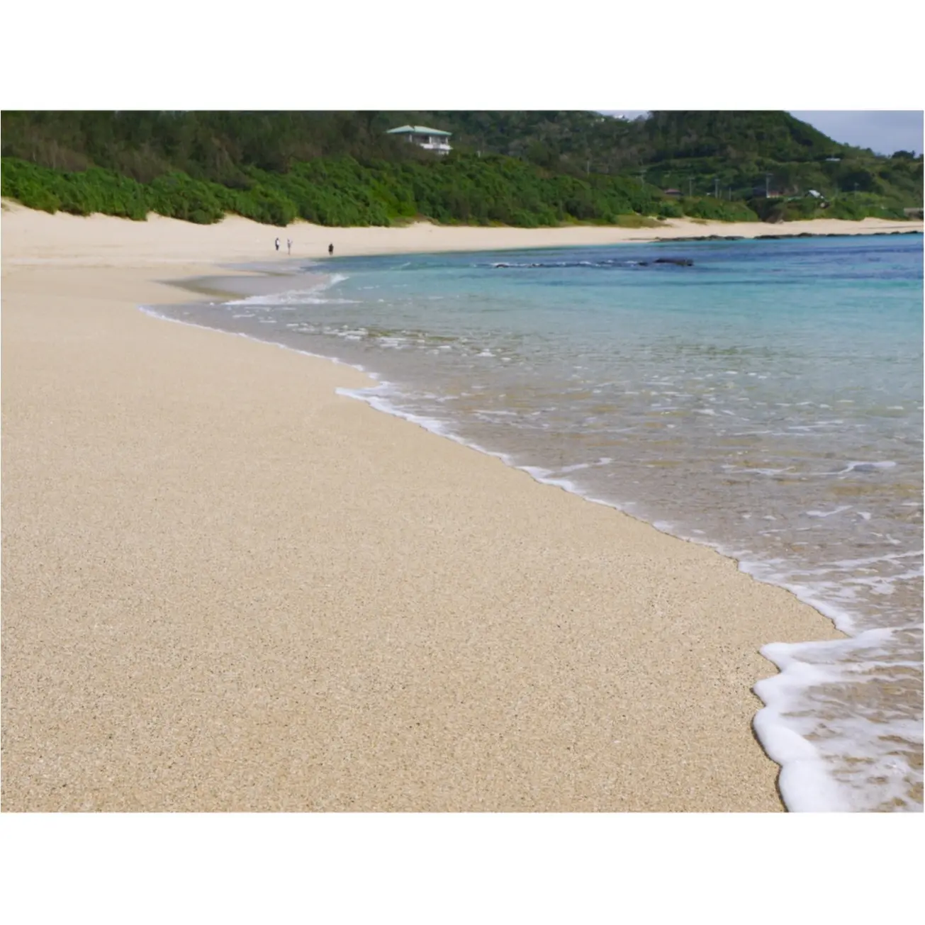 【鹿児島/隠れリゾート☆奄美大島レポ第一弾】限られた条件下でしか見られない!!幻のブルーハートを見に行こう♡ ヒトコレ-vol.7-_4