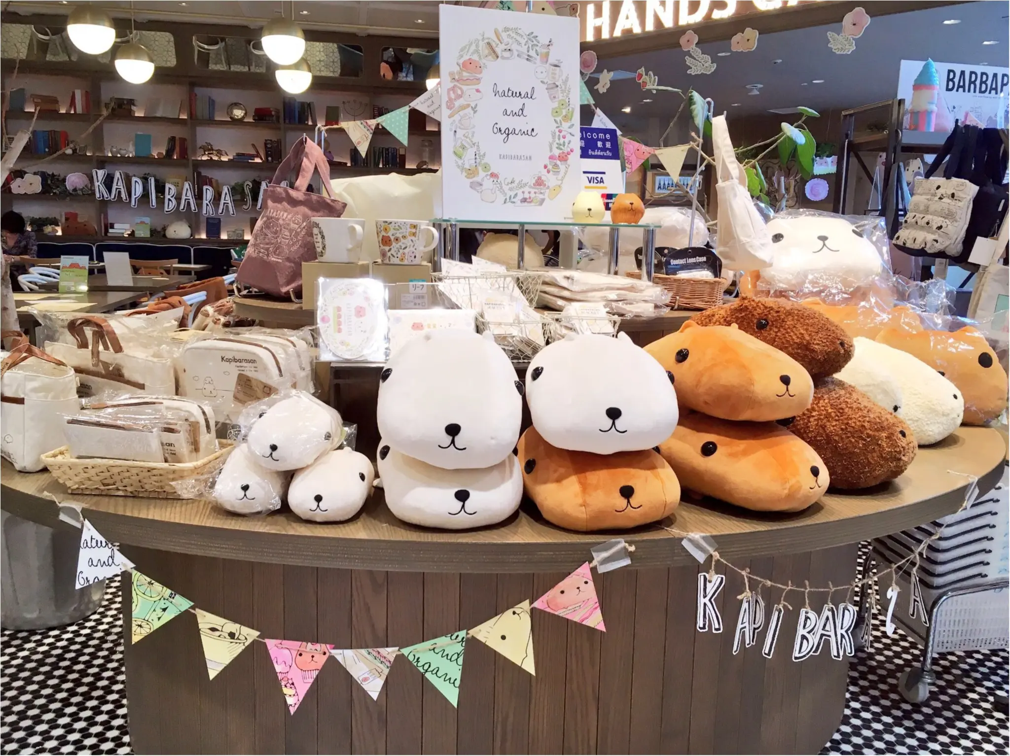 『KAPIBARASAN×HANDS CAFE』@東急表参道原宿店♡りぃイチオシメニューのご紹介(∗•ω•∗)♡_3