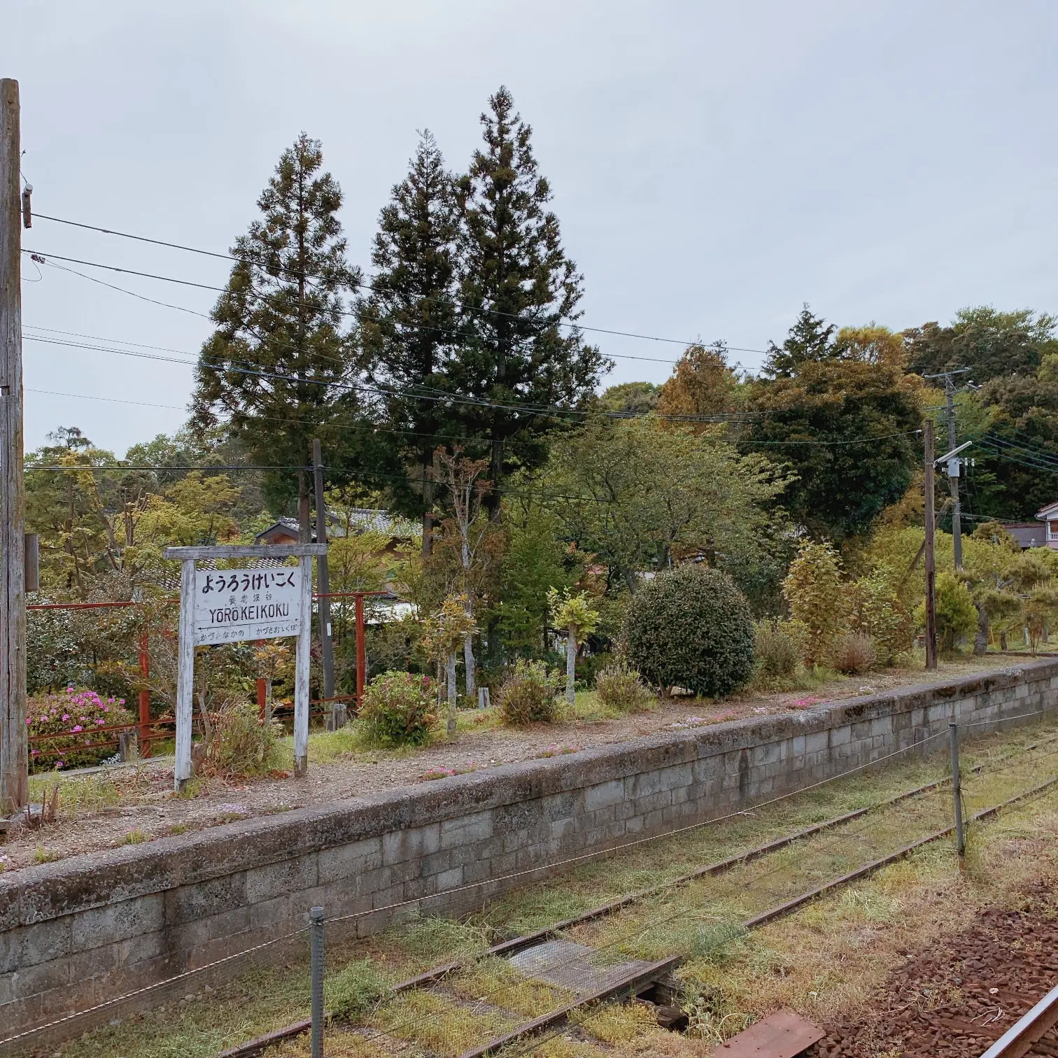 房総里山トロッコ列車の旅と、無印良品の「里のMUJIみんなみの里」へ☆ 【 #TOKYOPANDA のご当地モア・千葉県編】_1