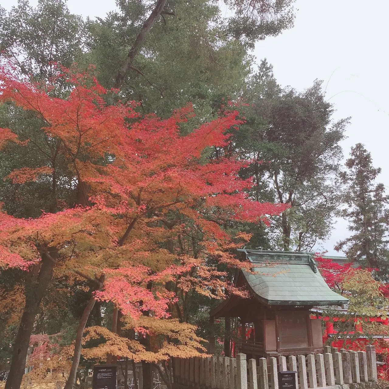 【名古屋】《レンタル着物で》三光稲荷神社ぶらり旅_3
