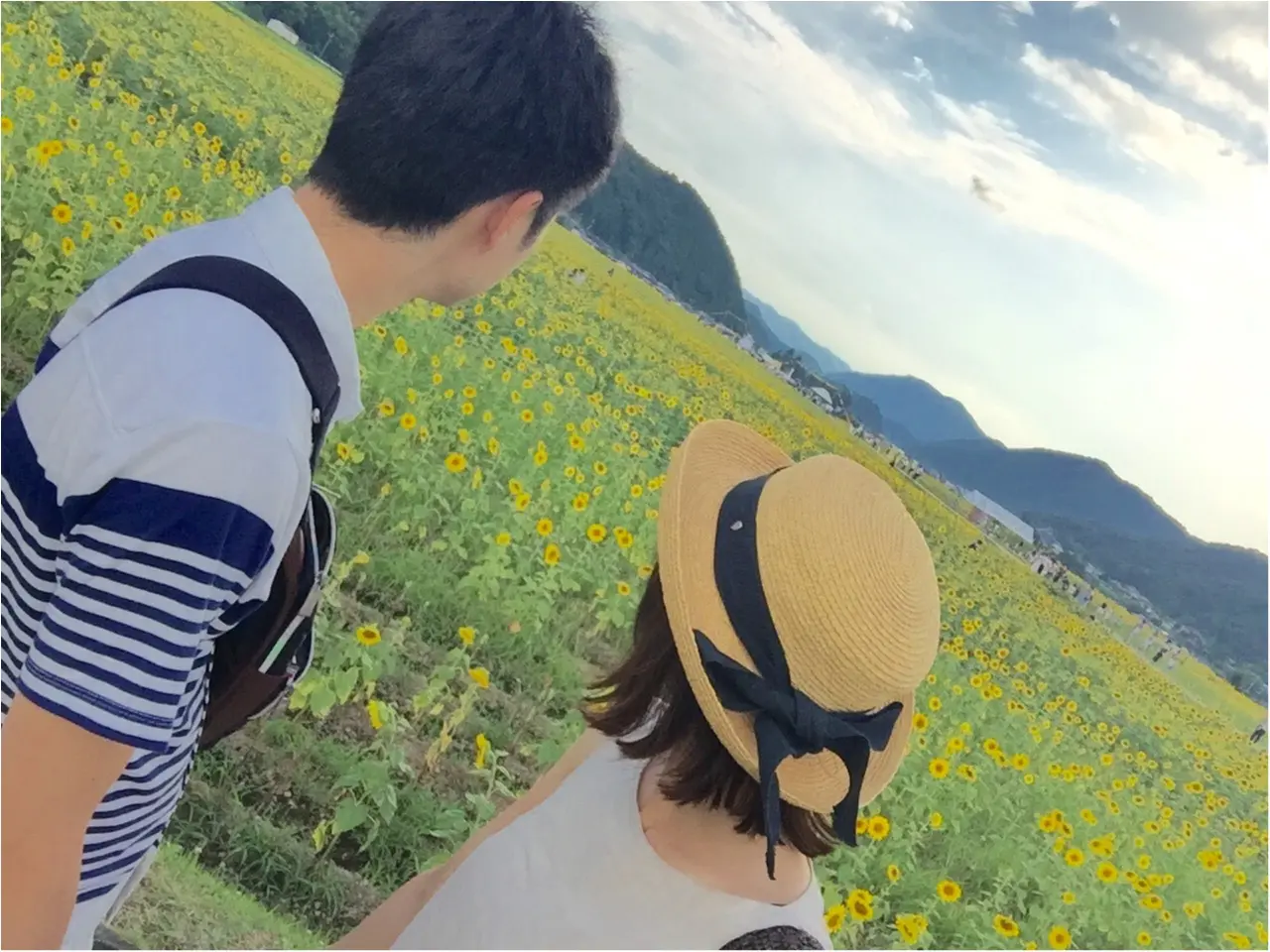 夏だ!8月だ!満開のひまわり畑へ!_8