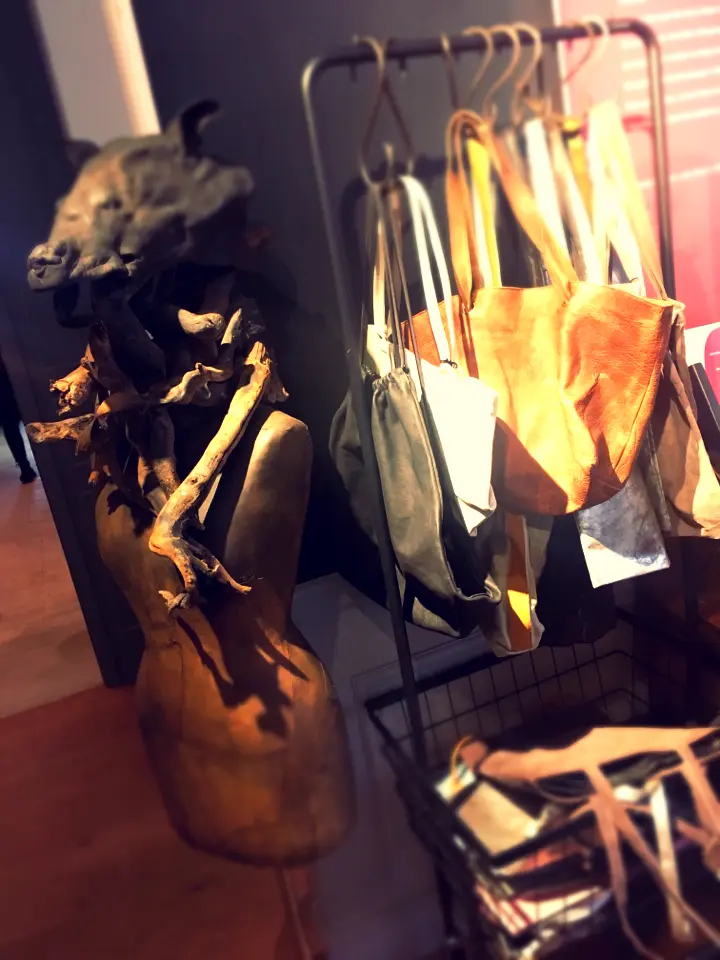 テンションあがる!【旅フェス】Produce by TRUNK★_16