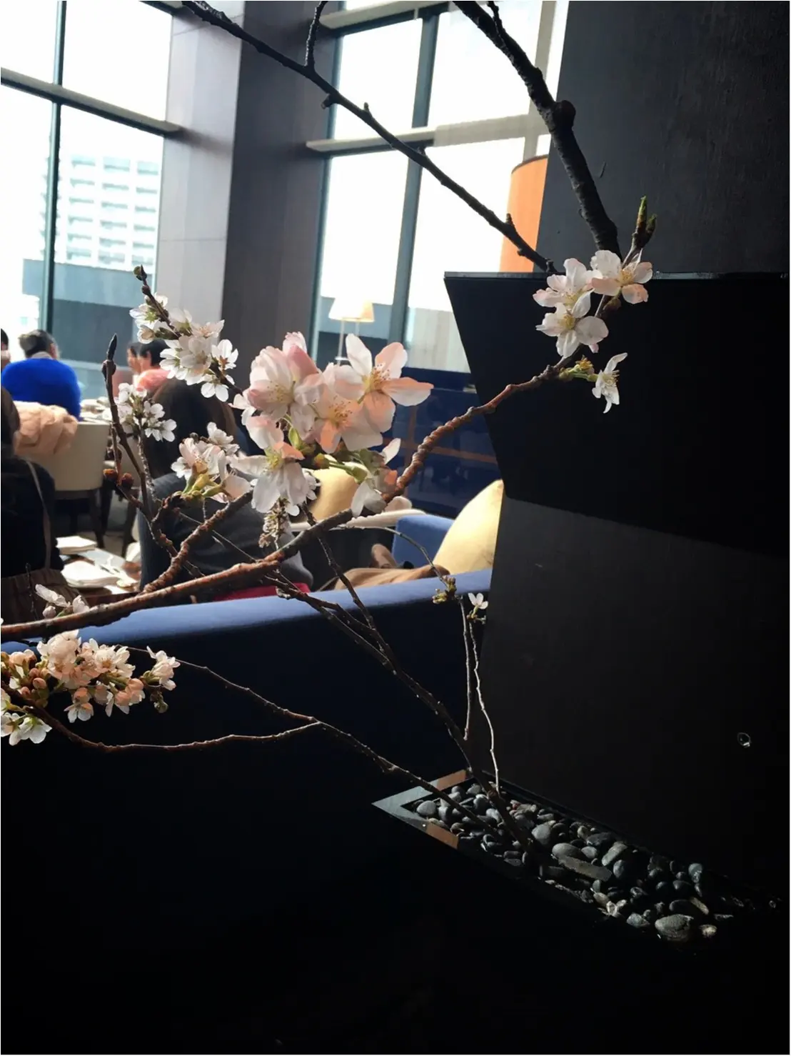 コンラッド東京【28階でお花見】桜アフターヌーンティーを_1