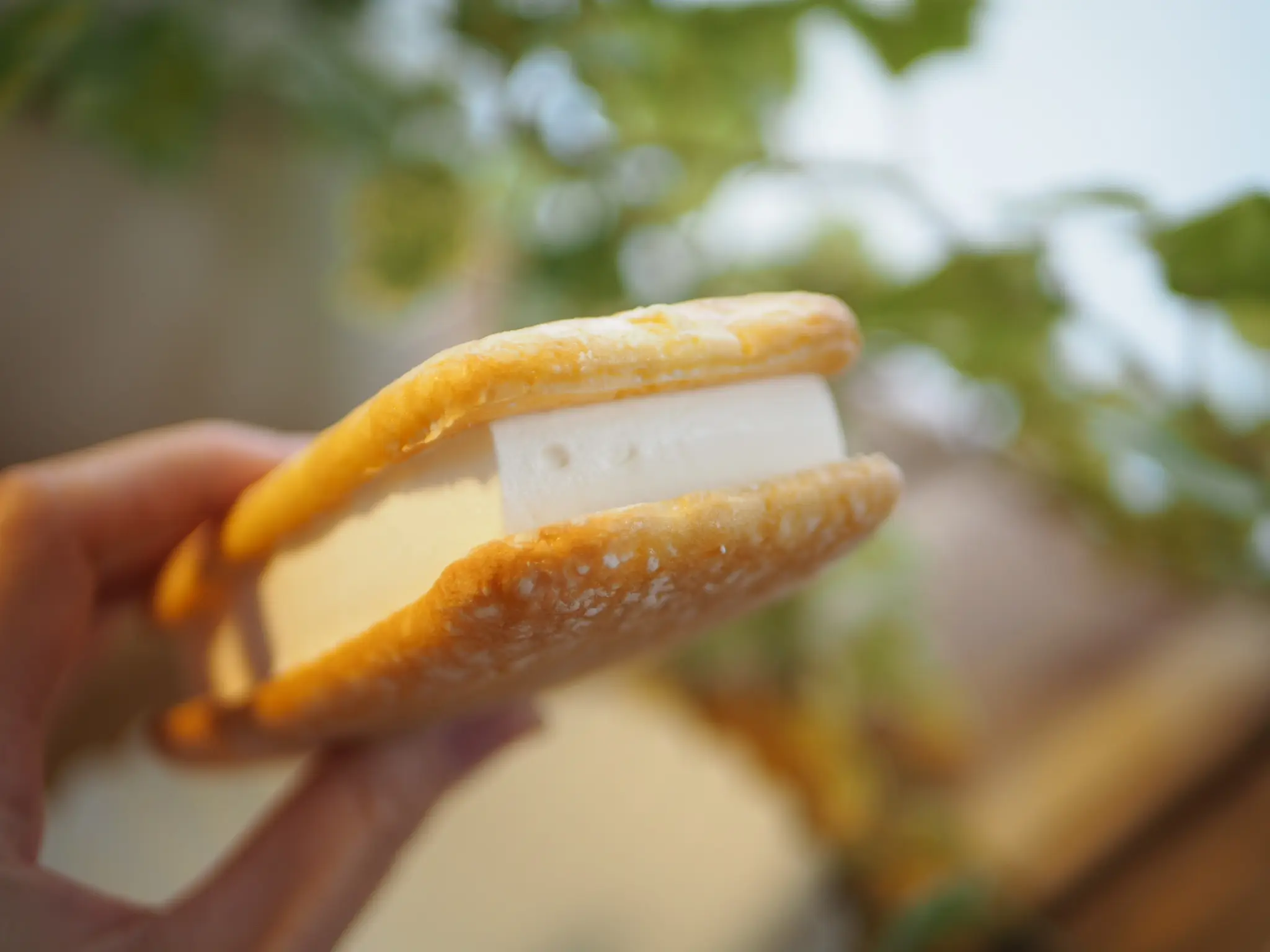 【おすすめアイス】一度は食べて!ファミマ限定アイス《ふわっふわケーキサンド》が美味しい♡_6