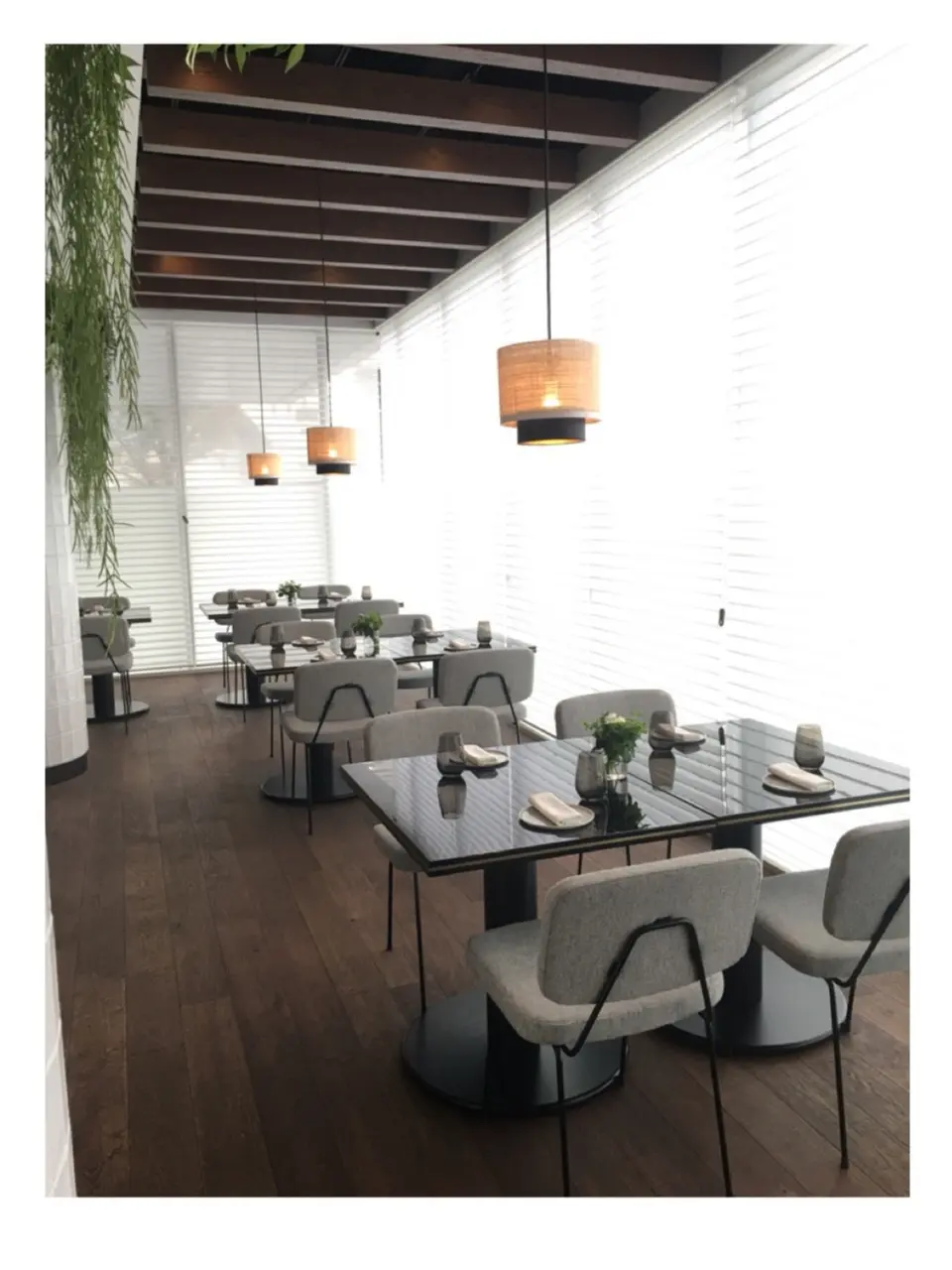 ♡11/11グランドオープン【ELLE café 青山店】プレオープンへ♡モアハピ◡̈のぞみ♡_5