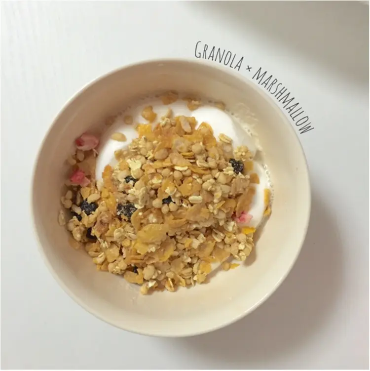 【FOOD】\愛ちあんCafe ♥︎/簡単!忙しい朝、サクッと栄養欲しいから。食物繊維たっぷりグラノーラバーの作り方_6
