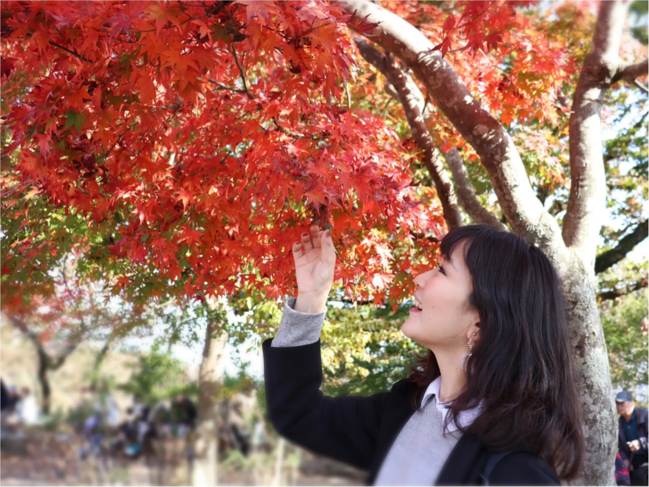 ▷2018年振り返り【秋のお出かけ】高尾山の紅葉狩りに行ってきました!!_1
