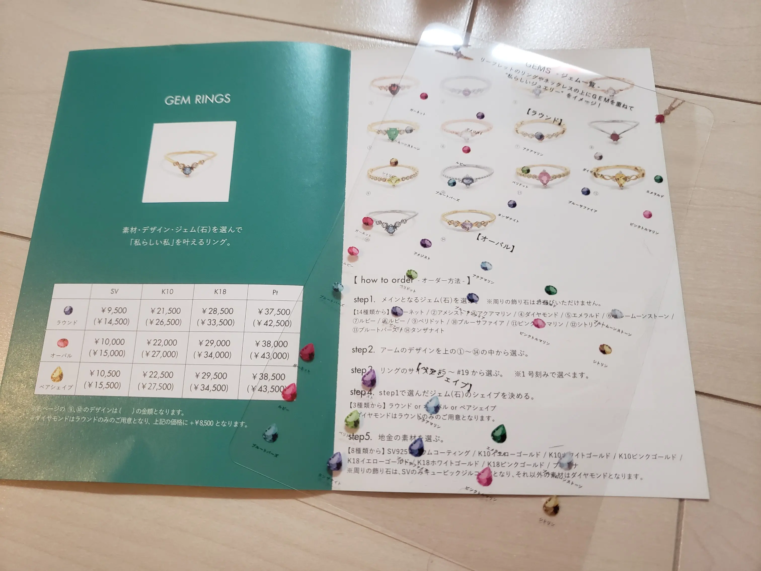 【BLOOM】初任給でティラノサウルスかいました!_3