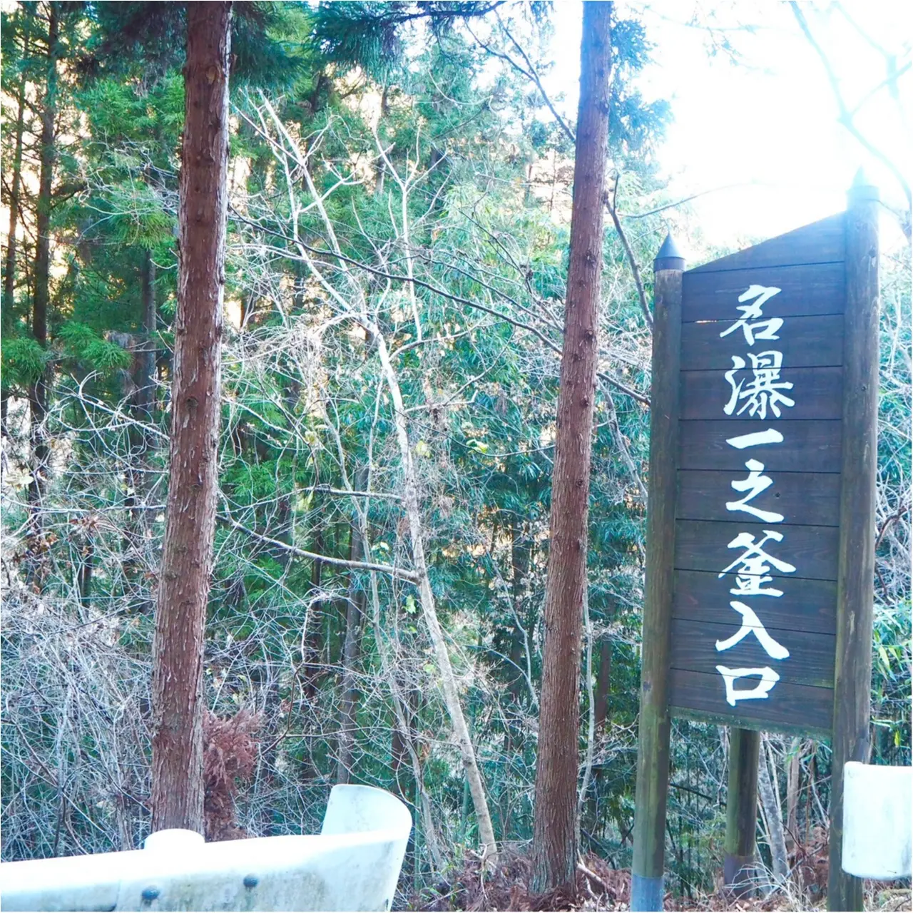 ヒルナンデスで紹介されたよくばり山梨盛りだくさんツアーにモアハピ部ゆかちゃんと行って来ました!_35