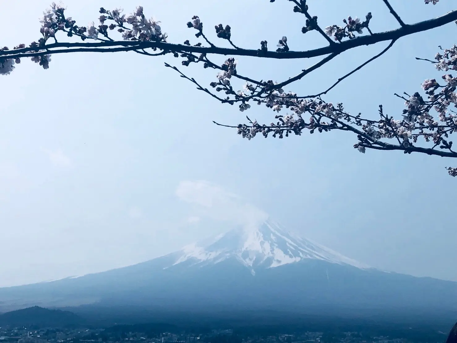《山梨》行くならここ行くべき☝️山梨旅行でおさえるスポットとは☺︎!_5