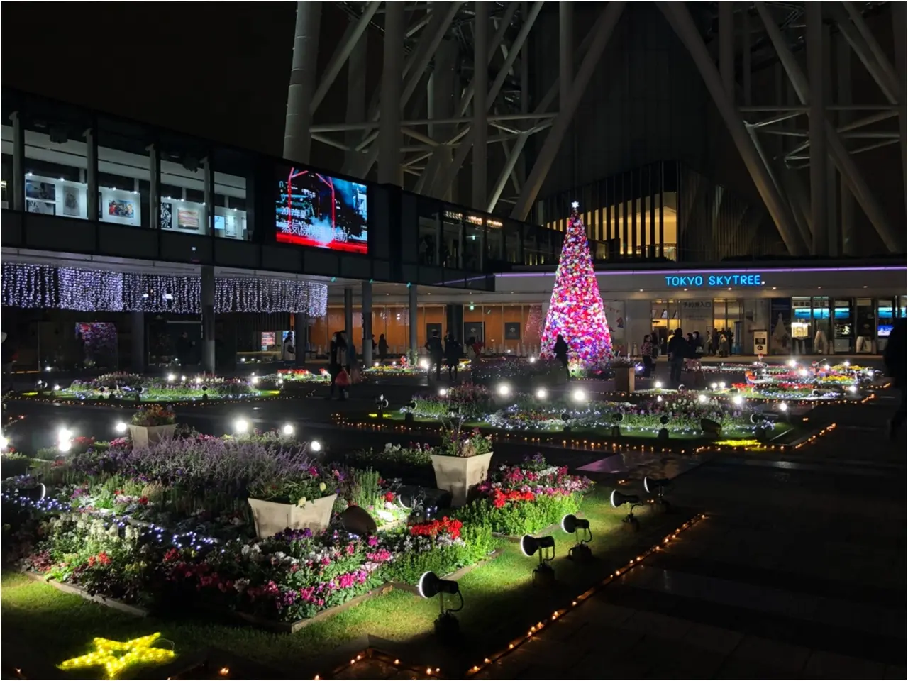 東京スカイツリーに登らずとも楽しめる!ピンクのお花のツリーが可愛いイルミネーション!!_3