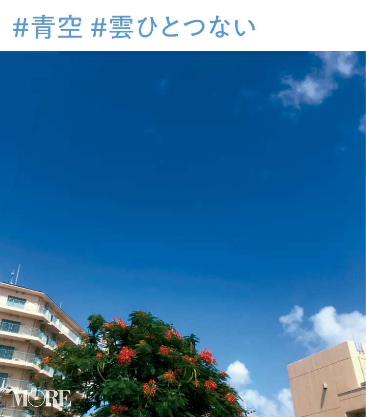 2019年 恋愛・結婚占い | 手相占い・SNS・心理テスト・浮気_7