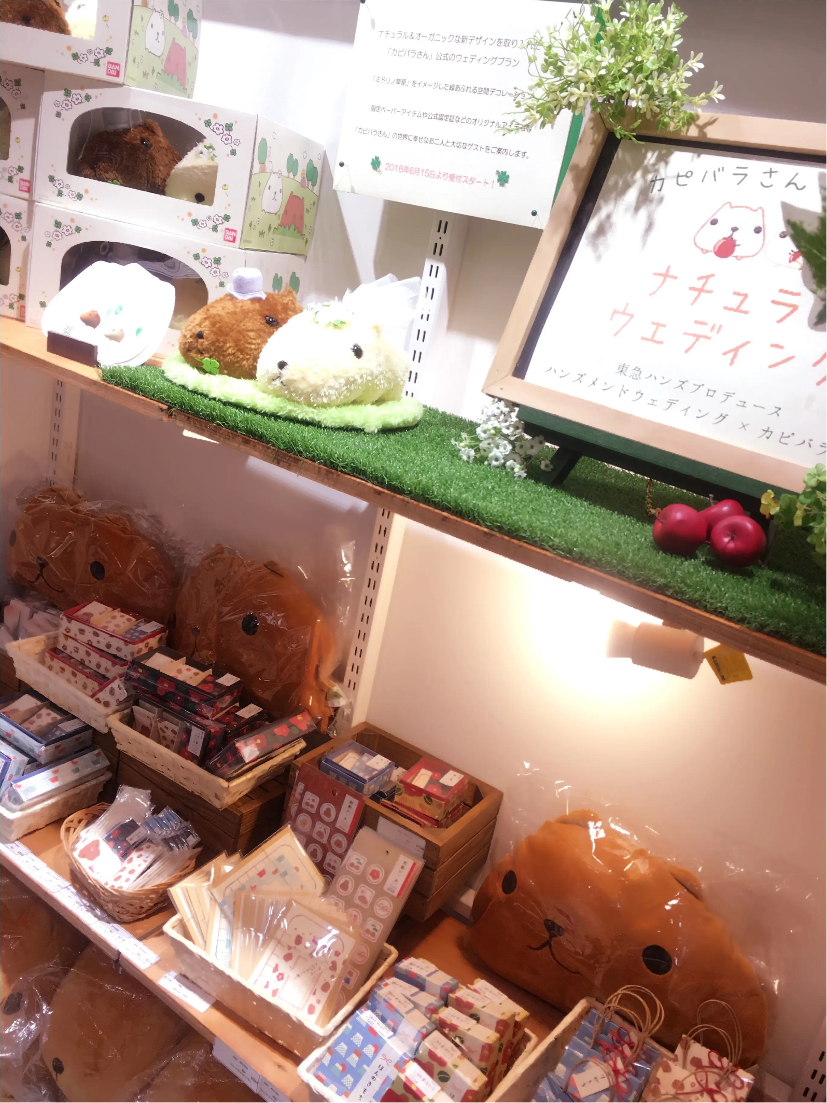around27歳の私たちも…♡新宿ミロード出店中の「大人カピバラさん」に大注目♡_2