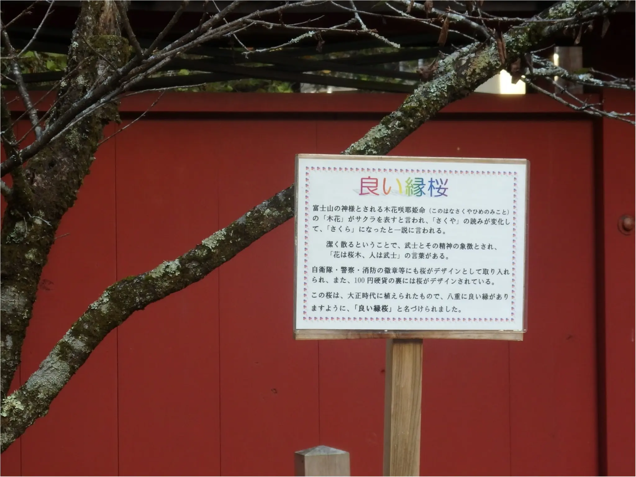 【知らなかった!】日本一楽しめる神社へ潜入してみた_15