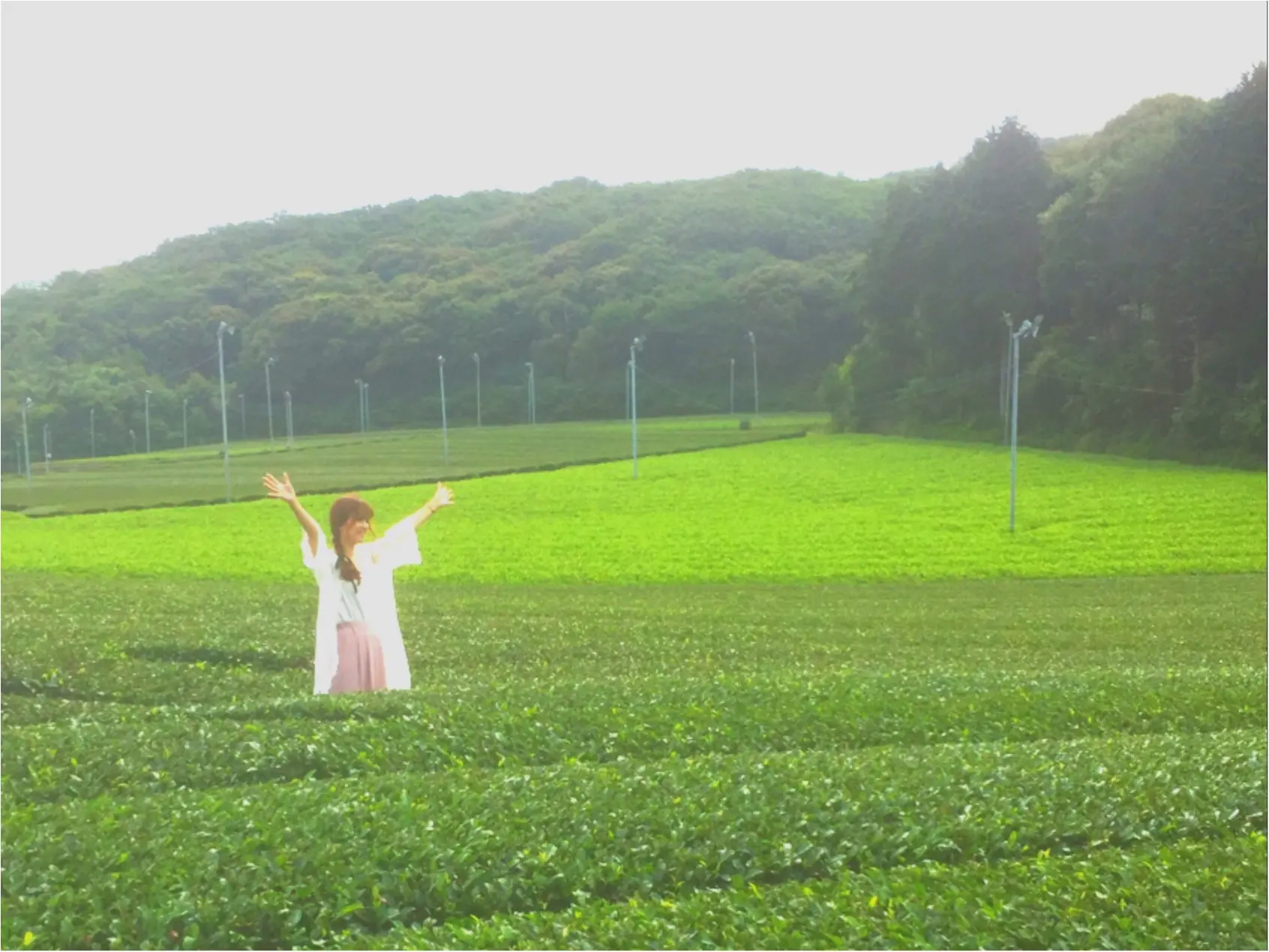 メロン好きは必見♡【名倉メロン農場】のメロンづくしのカフェに行ってきました♡_1