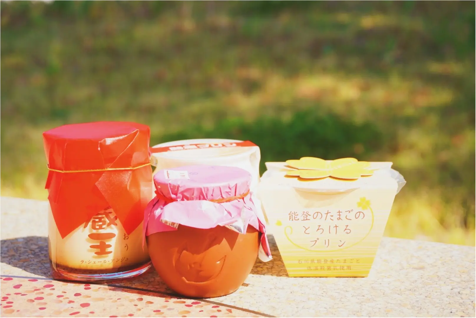 プリン好き必見‼︎人気ご当地プリン50種がお台場に集結✨_8