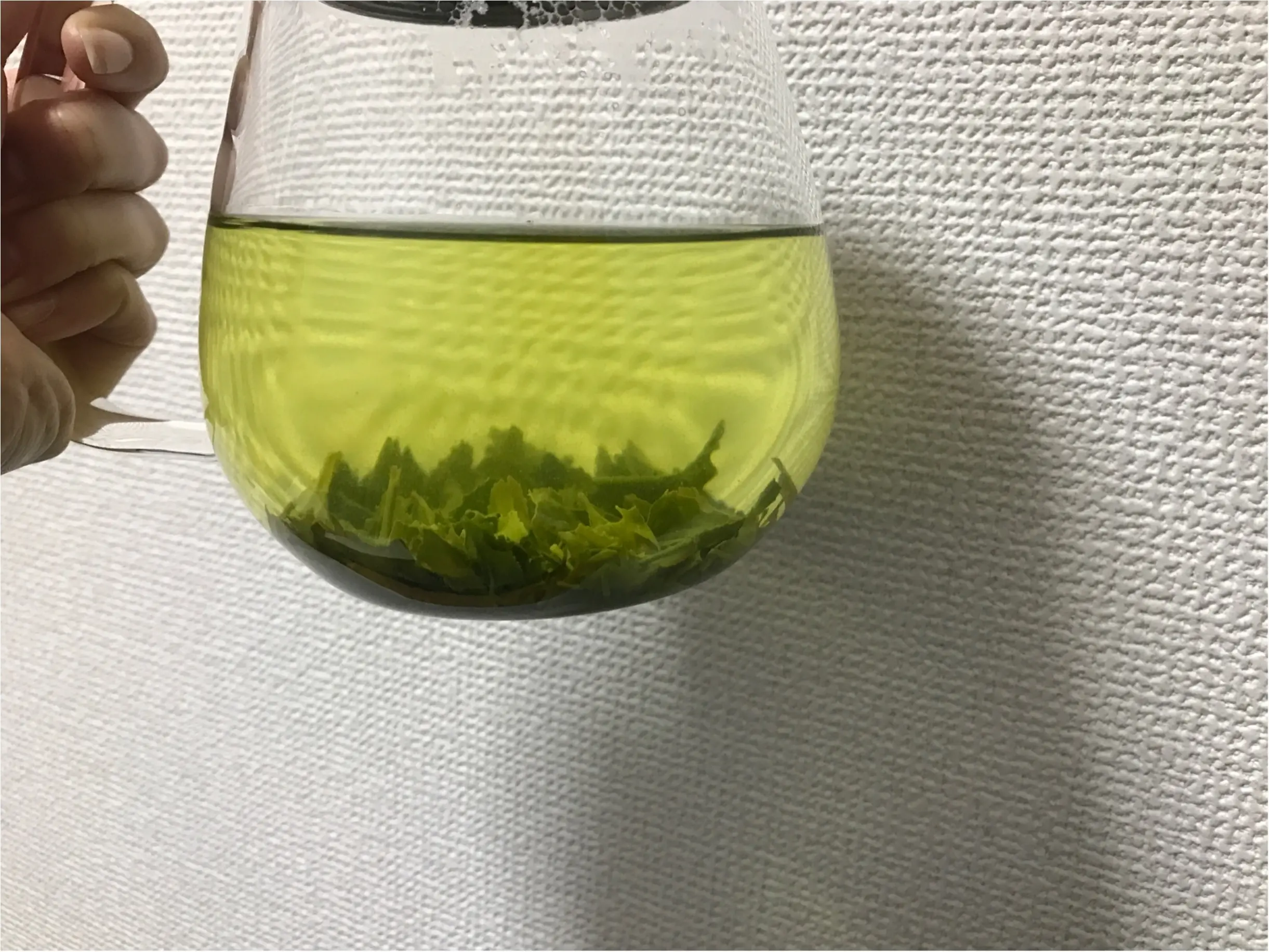 【緑茶美容法】おいしい緑茶で"スッピン美人"に!デパートでも手軽に手に入る!京都の老舗"一保堂"のお茶が香りも味も一流!おいしいから毎日続けられる美容法!_4