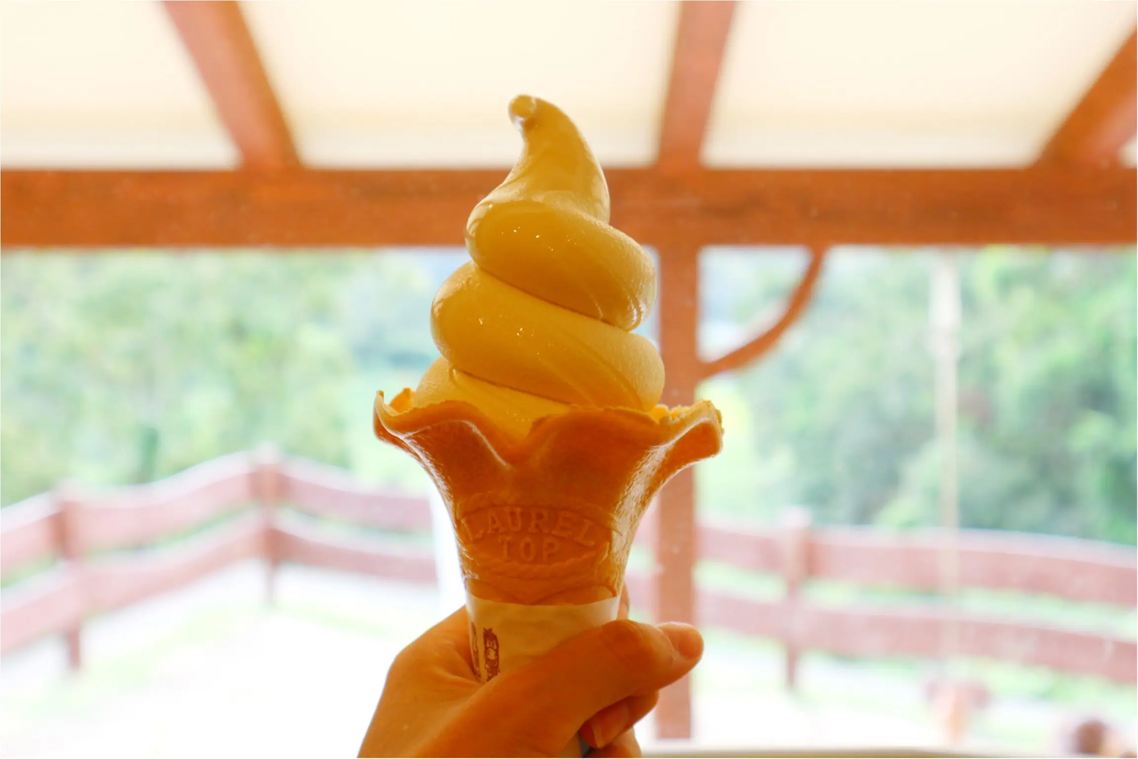【プリンの森】建物もプリンで可愛いお出かけスポット♡_3