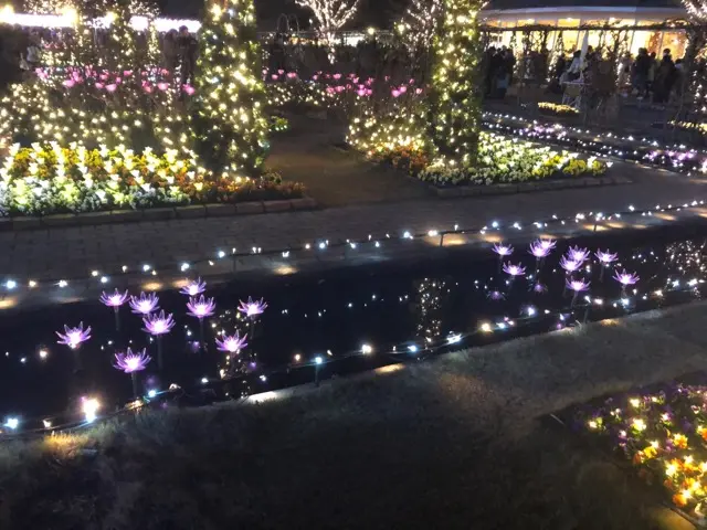 日本三大イルミネーション♪ あしかがフラワーパークに行ってきた♡_2