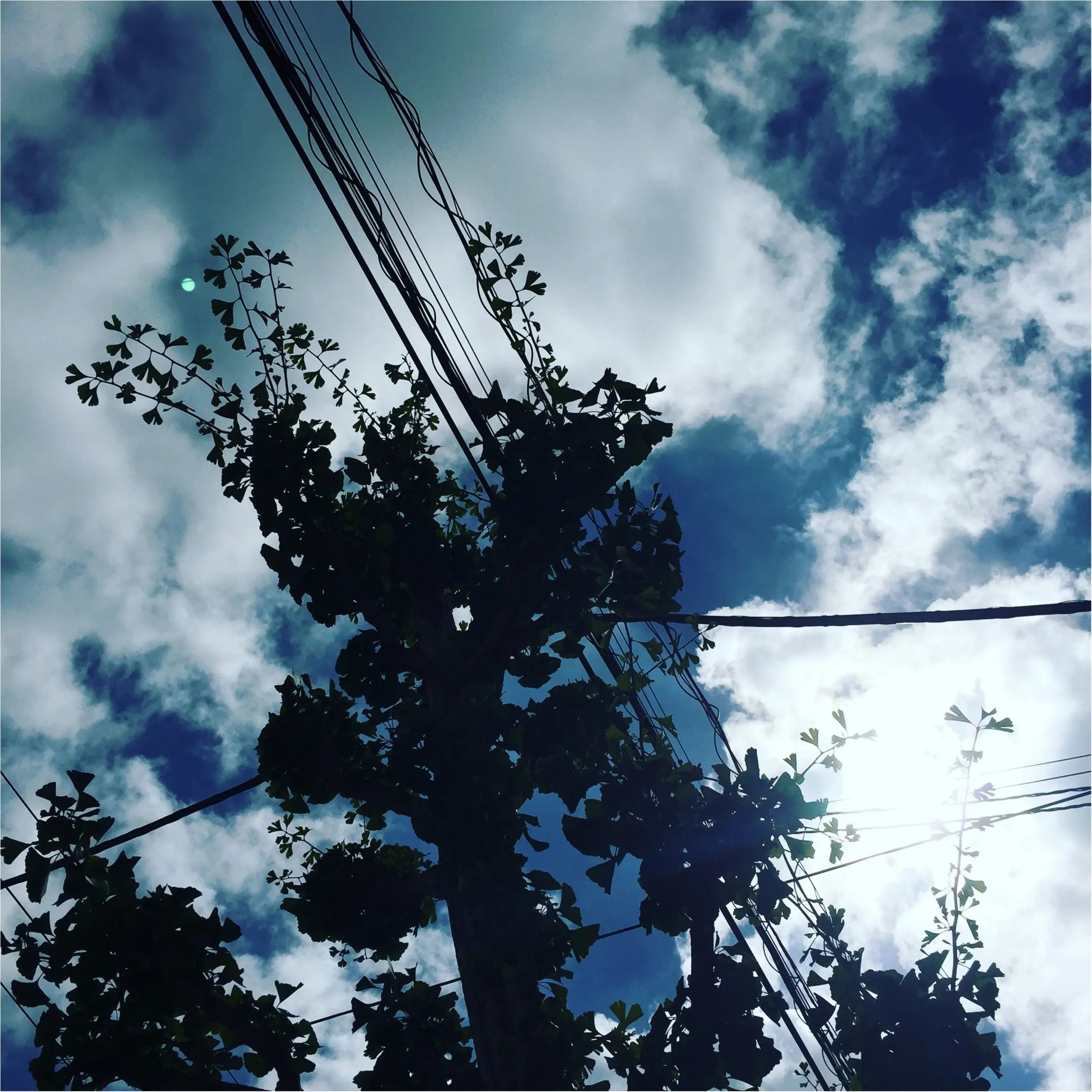 夏の記憶が蘇る✨✨この夏の《*空の写真*》_9