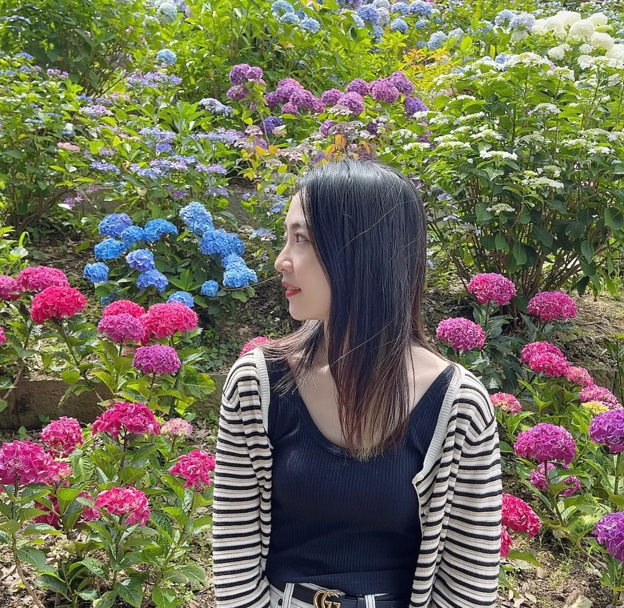 休日のお出かけ〜紫陽花〜_2