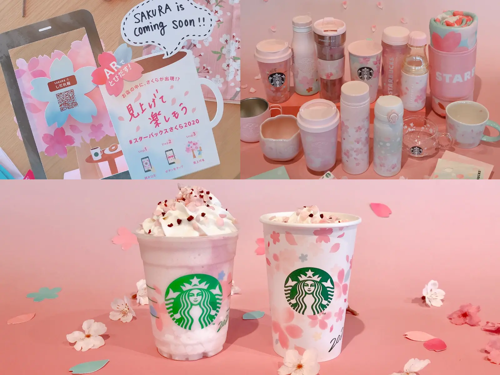 Starbucks スターバックス さくらピクニックセット 【新品】 10200円