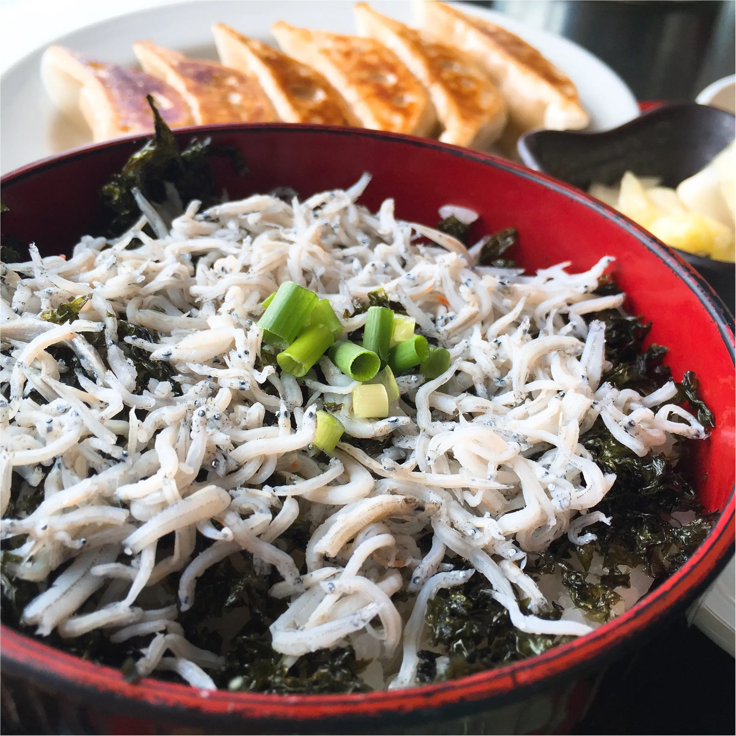 【神奈川・葉山】中華街重慶飯店元料理長が作る「葉山餃子&しらす丼」を堪能♩≪samenyan≫_9